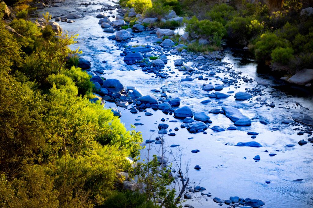 Microsoft 2022 Environmental Sustainability Report