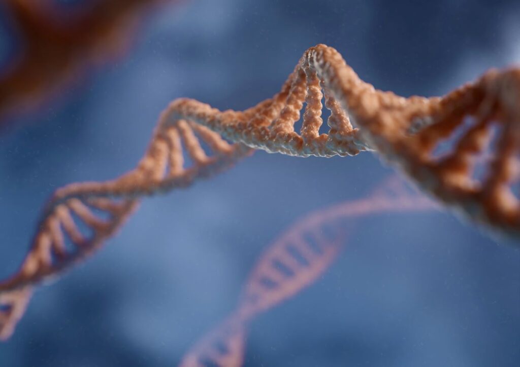 Dna