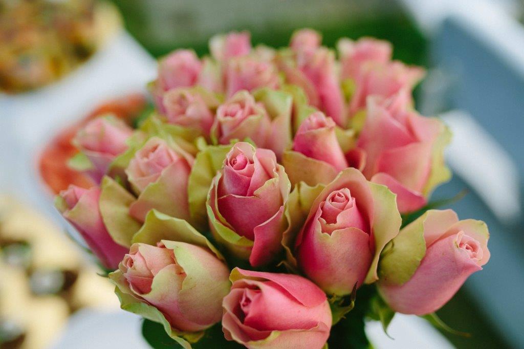 Roses