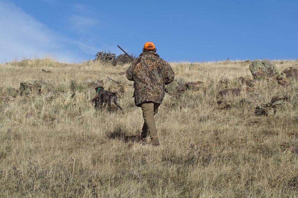 2 hunt 4626683