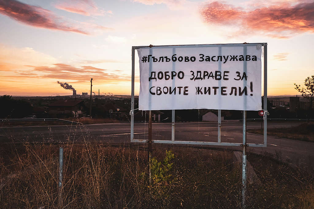Гълъбово Грийнпийс България