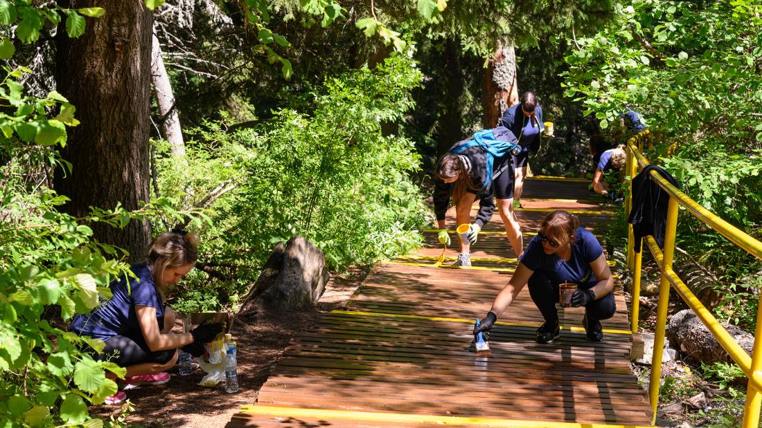 Yettel Volunteering Zlatnite mostove