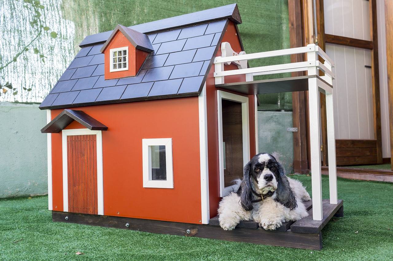 Kennels for pets 3821861
