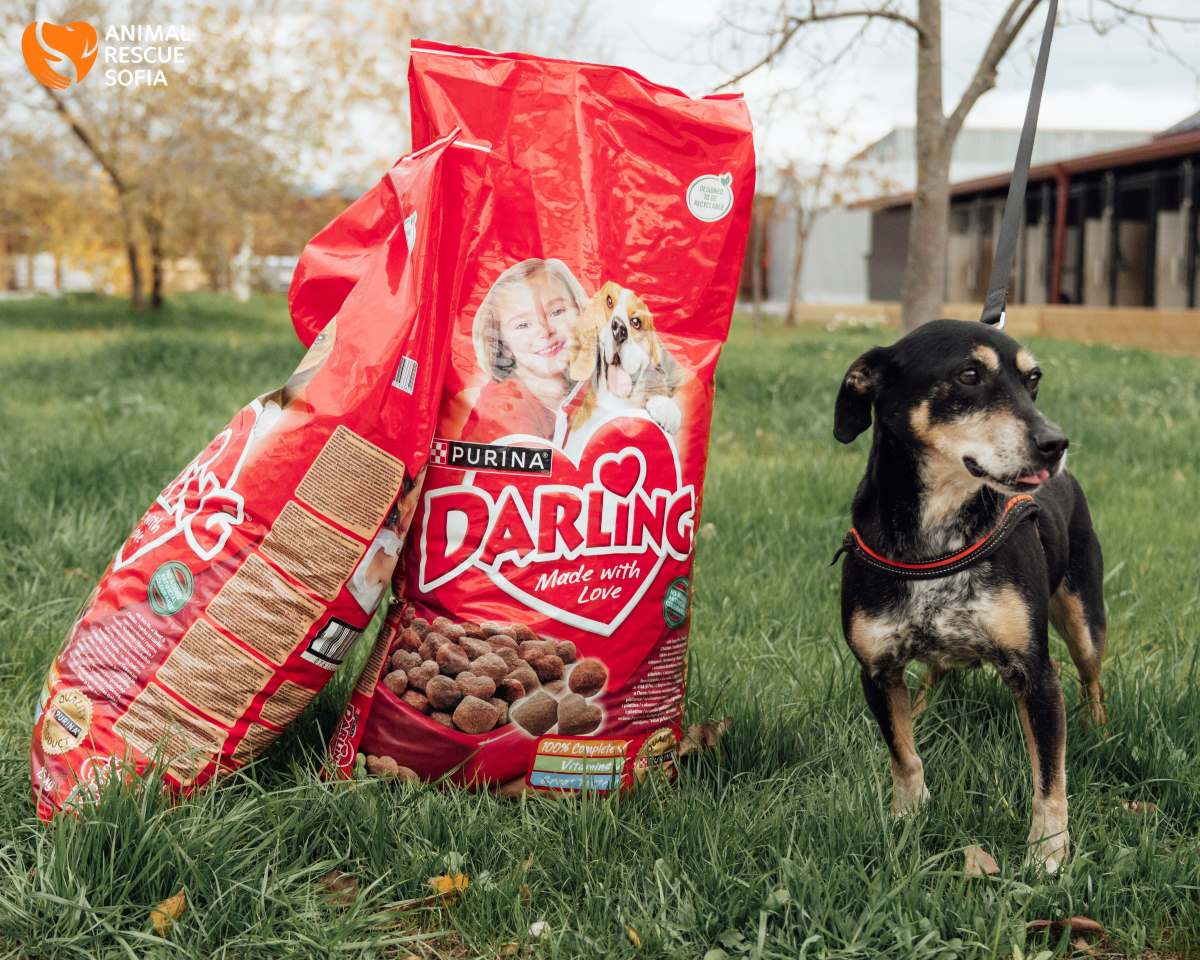 Purina